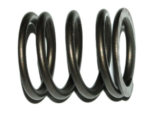 038109623F (VW) Пружина клапана наружная 1.9TDI 8V, 2.5TDI 10VVW Golf V 03-09 Audi A4 04-08 Skoda Octavia A5 04-13