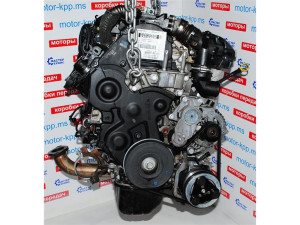G8DB (FORD) Двигатель с навеснымFord Focus II 04-11