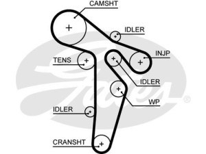 5649XS (GATES) Ремень ГРМVW Passat B7 10-15 Audi A6 11-18 Skoda Octavia A5 04-13