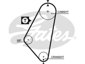 5083 (GATES) Ремень ГРМ