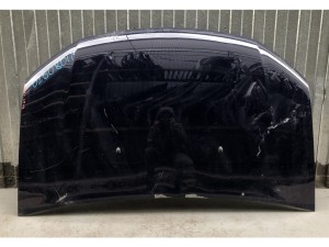 651001918R (DACIA) Капот