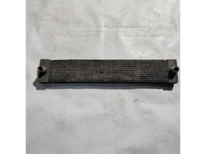 17117589470 (BMW) Радиатор охлаждения двигателя дополнительныйBMW X6 E71 08-14 BMW X5 E70 07-13