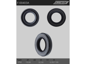 F-00403A (EMMETEC) Сальник 19,00/32,00*6,00/7,00 тип чертежа 1PM