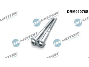 DRM01076S (Dr.MOTOR) Болт крепления форсунки 1.6TDI 16VVW Caddy III 04-15