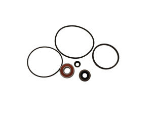 BW8101KIT (EMMETEC) Ремкомплект насоса ГУР с электроприводом MINI MINI 01-06,MINI 06-