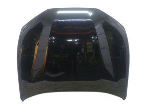LJ8Z16612A (FORD) КапотFord Mustang Mach-E 20-
