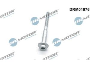 DRM01076 (Dr.MOTOR) Болт крепления форсунки 1.6TDI 16VVW Caddy III 04-15
