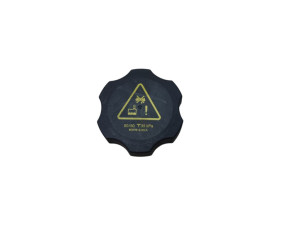 600761200B (TESLA) Крышка расширительного бачкаTesla Model X 15-21