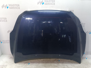 31335847 (VOLVO) Капот -13