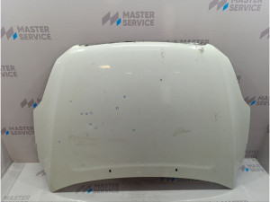 31335847 (VOLVO) Капот -13