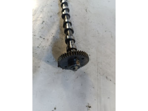 130200296R (RENAULT) Розподільний вал впуск Euro6 2.3DCI 16V M9T 716